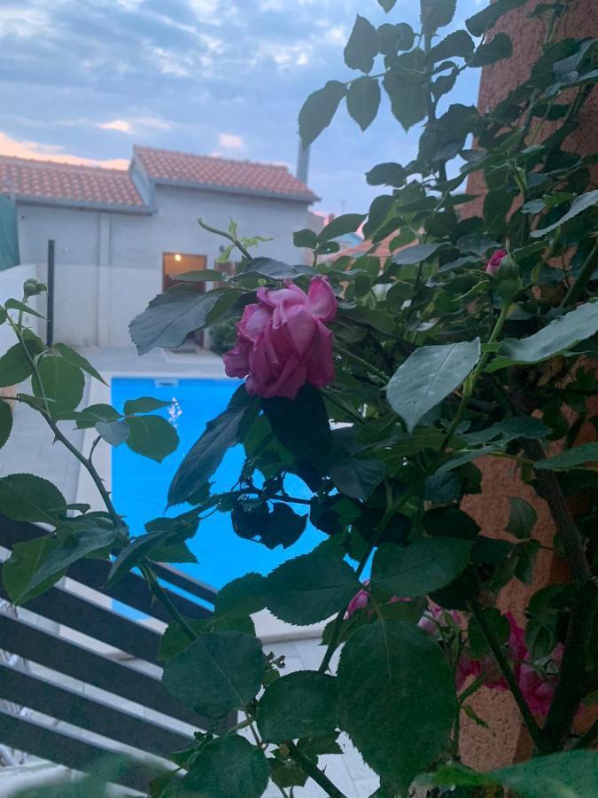 Apartmani Es Fazana Exterior photo